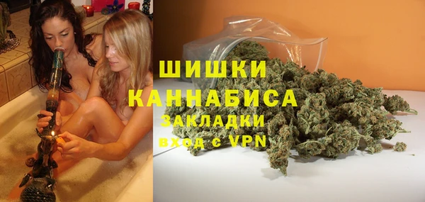 ПСИЛОЦИБИНОВЫЕ ГРИБЫ Арсеньев