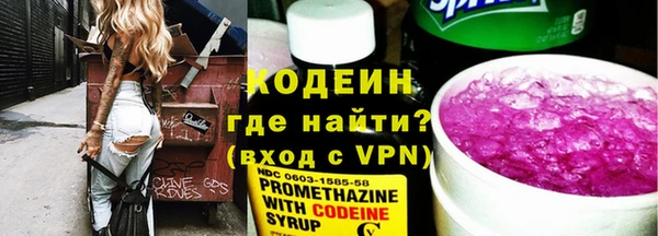 ПСИЛОЦИБИНОВЫЕ ГРИБЫ Арсеньев