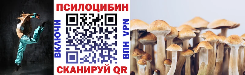 купить наркотик  Спасск-Рязанский  Псилоцибиновые грибы MAGIC MUSHROOMS 
